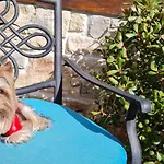 кириос Отель 3*